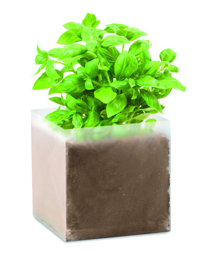 GiftRetail MO9545 - BASIL Compost with seeds "BASIL"