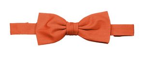 Velilla 404006 - BOW TIE