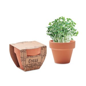 GiftRetail MO2219 - CRESS POT Terracotta pot cress seeds Wood