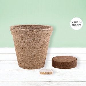 EgotierPro 52080K - Biodegradable Herb Pot: Chives, Basil, Oregano CERES Unique